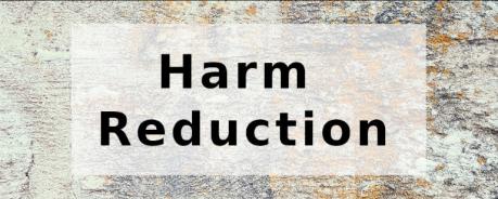 der Schriftzug harm reduction vor einer Steinwand