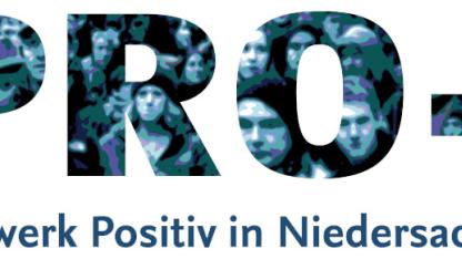 Pro+ Logo klein
